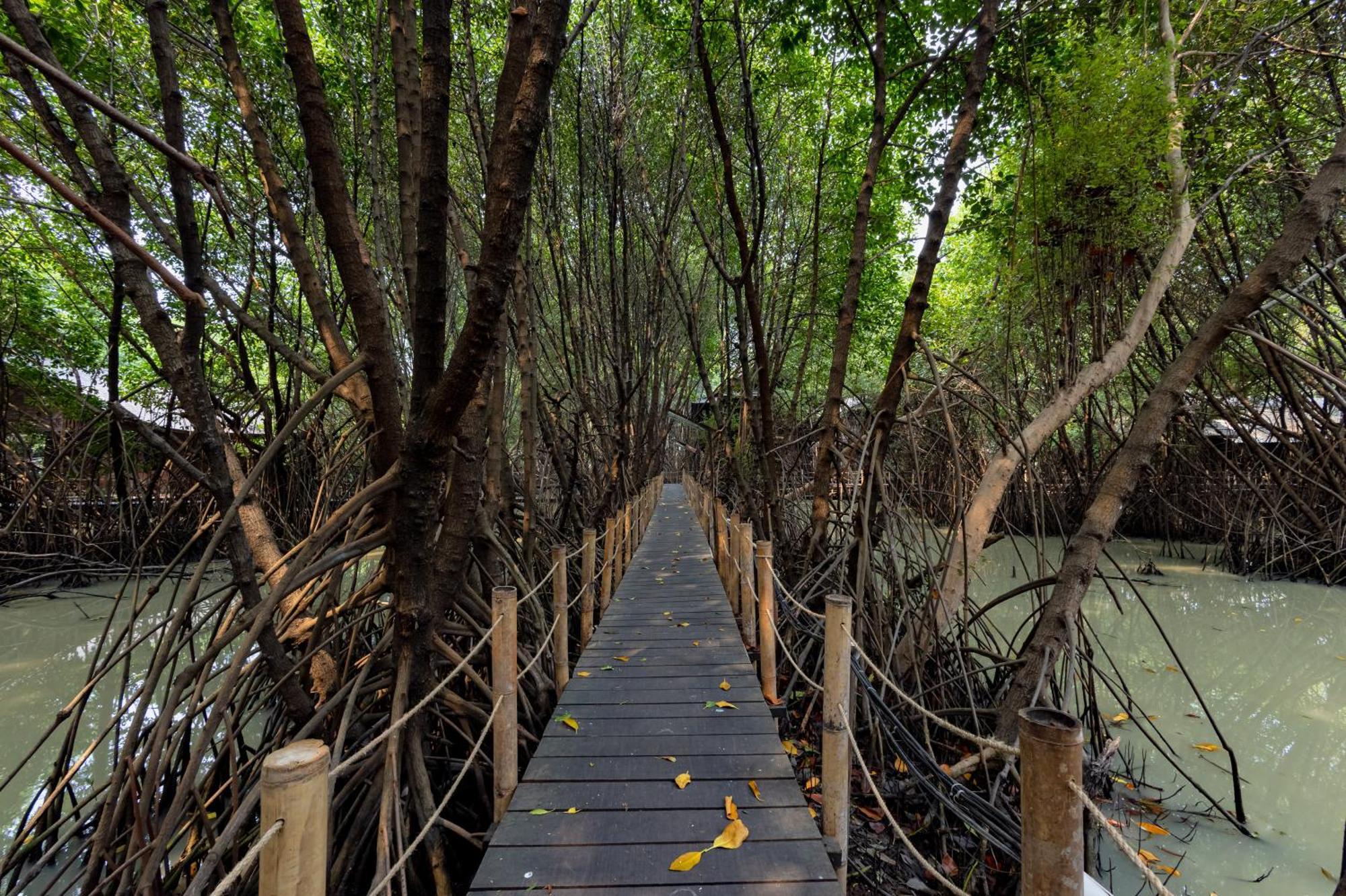 RedDoorz Resort @ Taman Wisata Mangrove Dżakarta Zewnętrze zdjęcie